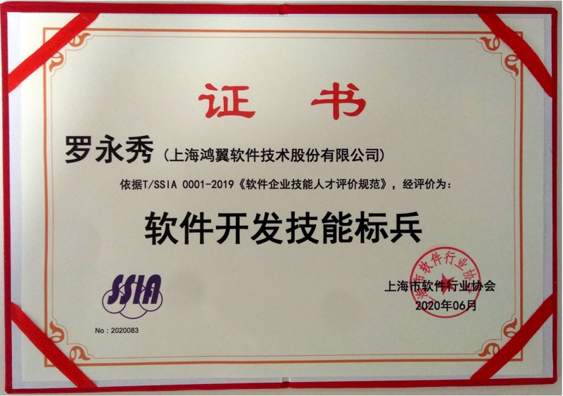 定制企业软件：企业的数字化翅膀